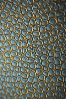 /album/tapety/anthology03-images-12-lr-jpg/