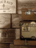 /album/tapety/exposed-004-jpg/